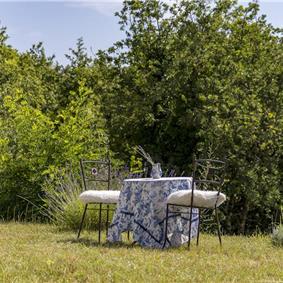Luxury 4-Bedroom Villa with generous sized Infinity Pool near Buje, Istria. Sleeps 8